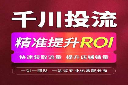 百度竞价与搜索引擎优化（SEO）的协同效应案例